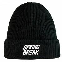 Capita Spring Break Beanie BLACK