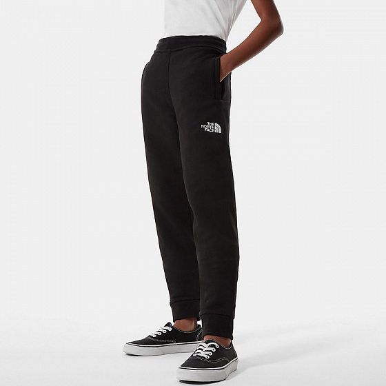 the north face men's drew peak jogger