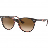 Ray Ban Wayfarer II PINK HAVANA/CLEAR GRADIENT BROWN