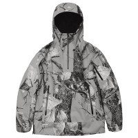 Dimito VTX 2L GTX Anorak (vtx X Eider) Jacket GREY TREE