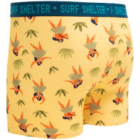 SURF SHELTER San Clemente Boxer Brief HAWAII DANCERS