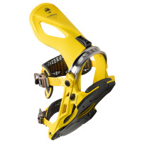 Arbor Cypress YELLOW