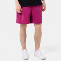 Pop Trading Company Painter Short RASPBERRY