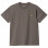 Carhartt WIP S/S American Script T-shirt TEIDE