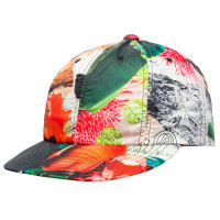 F/CE Modern Botanical 8 Panel CAP BOTANICAL
