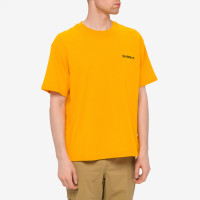 Marmot Earth DAY TEE SS GOLDENSUN