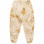 ARIES Silk Snow Pant MULTI