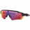Oakley Radar EV Path MATTE BLACK /PRIZM ROAD